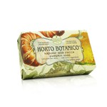 NESTI DANTE Horto Botanico Pumpkin